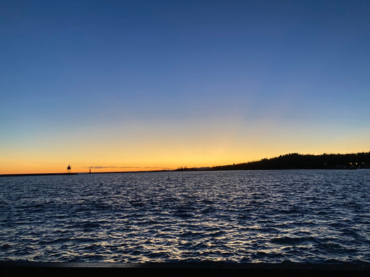 What Are We Learning?