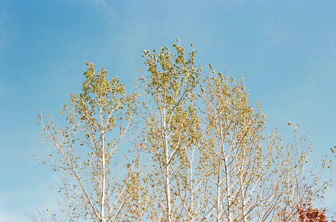 What Value Does Art/Creative Practice Bring to the World? Especially a World in Flux?